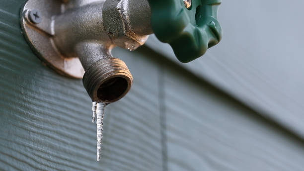 Best Plumbing Services Near Me  in Fort Thomas, KY